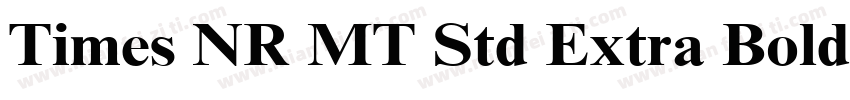 Times NR MT Std Extra Bold Regular字体转换